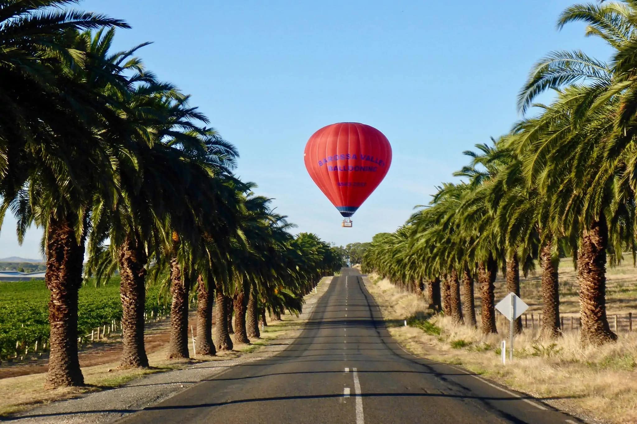 barossa valley hot air ballooning