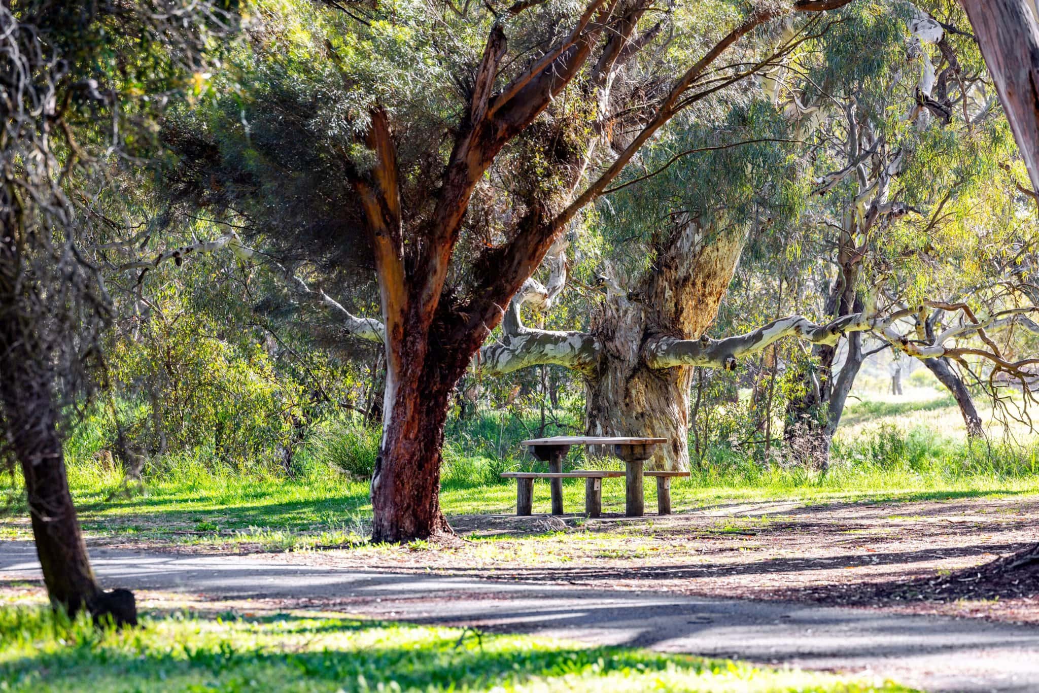 Bush Chapel 6