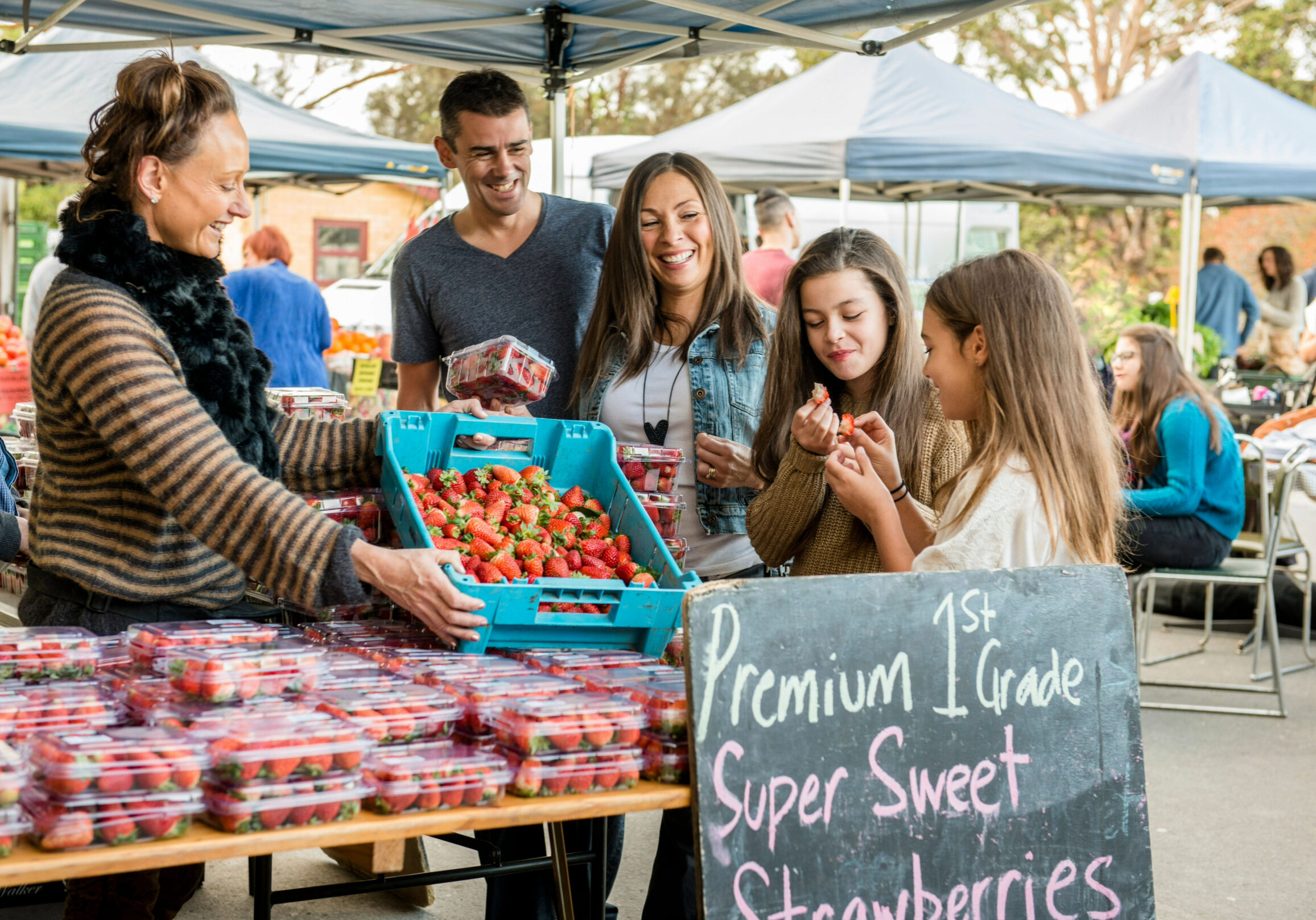 Resized Farmers Market Strawberries